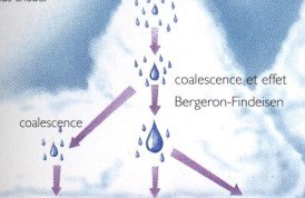 La coalescence